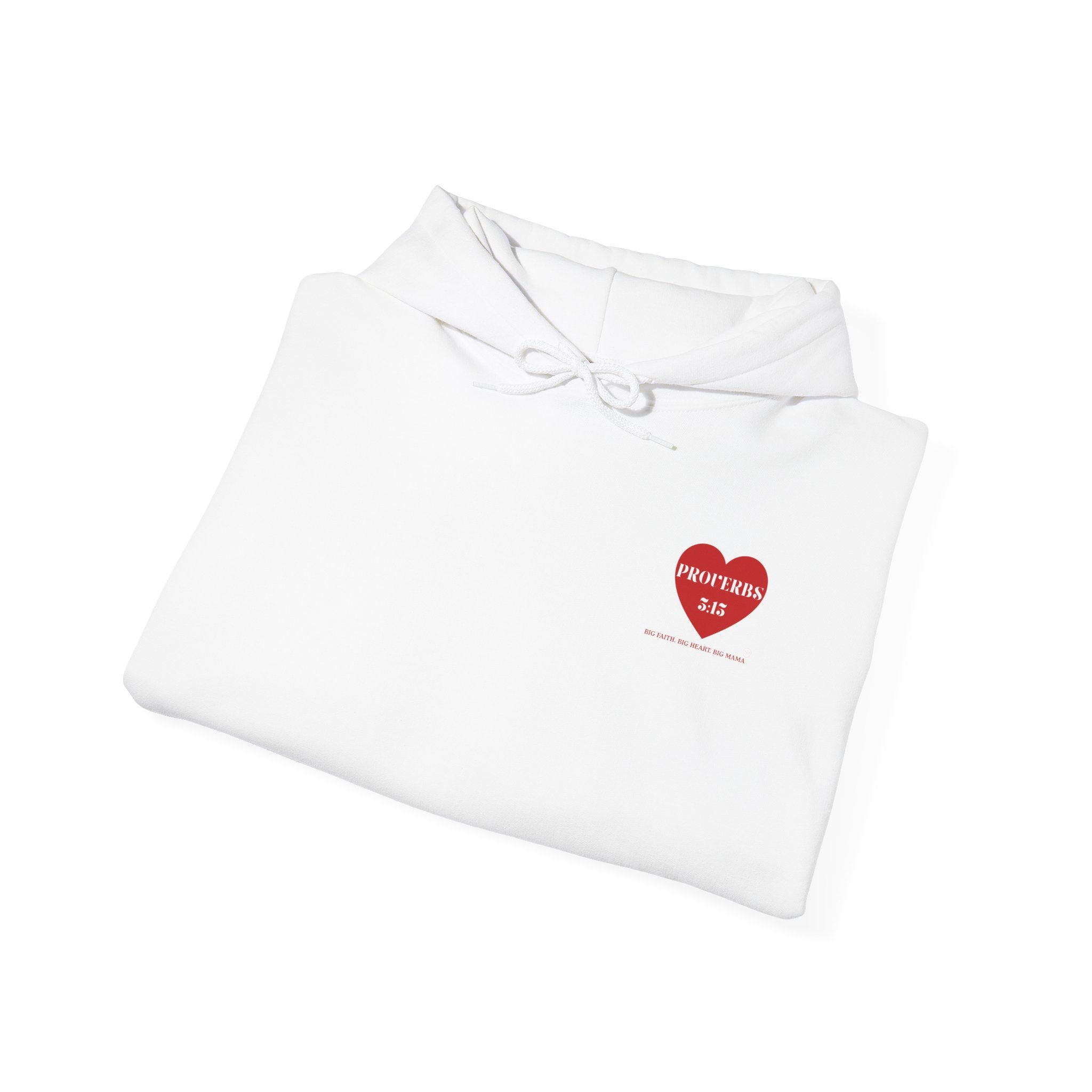 Faith & Love Proverbs 3:15 Hooded Sweatshirt